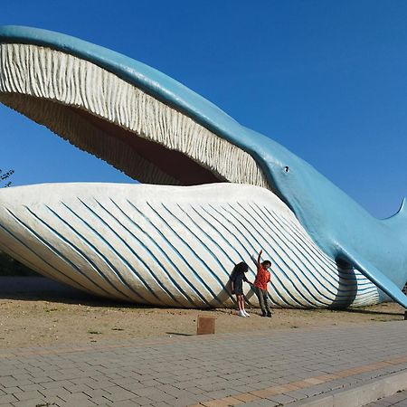 Szyper Pokoje Wladyslawowo Exterior foto