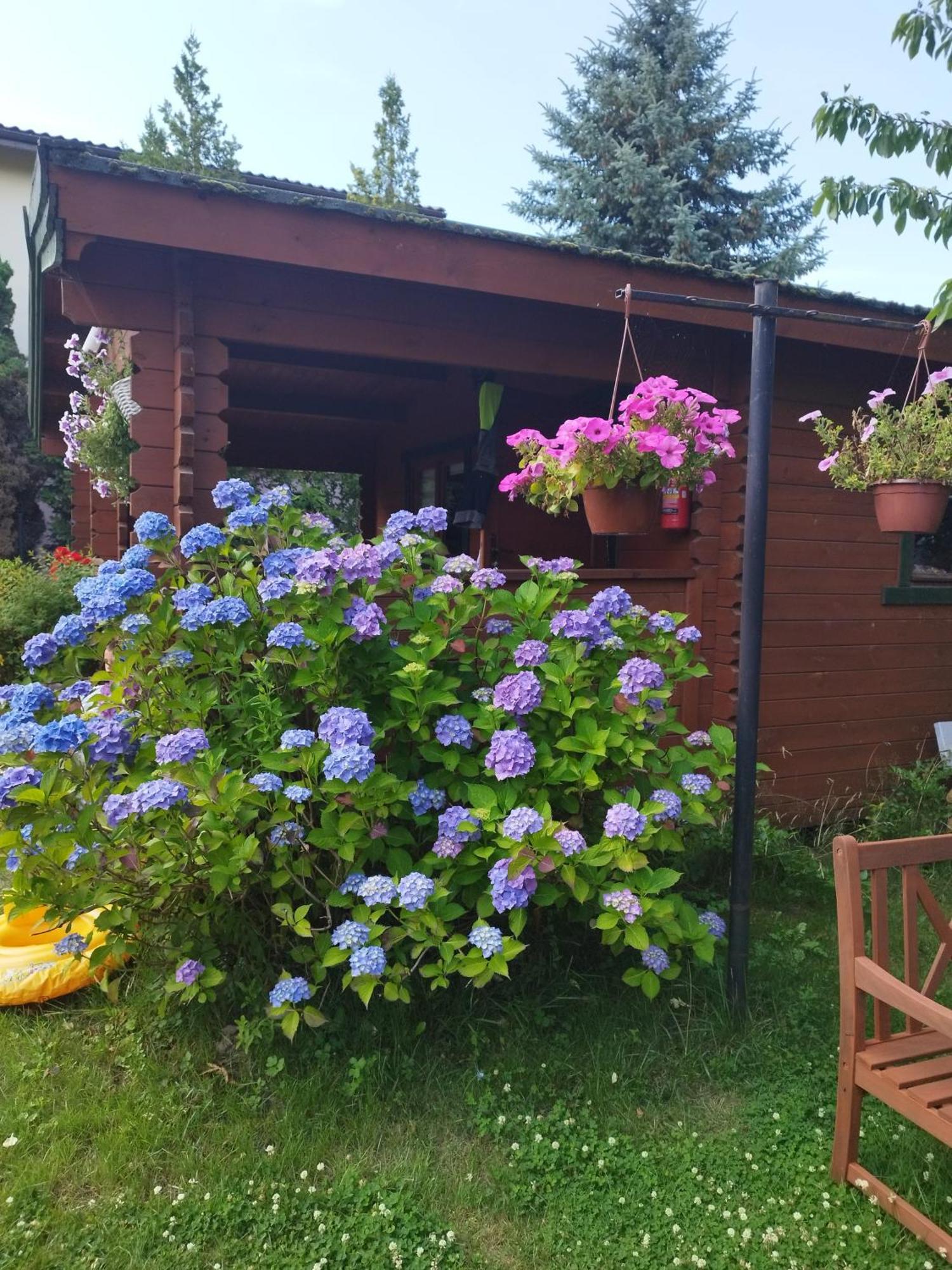 Szyper Pokoje Wladyslawowo Exterior foto