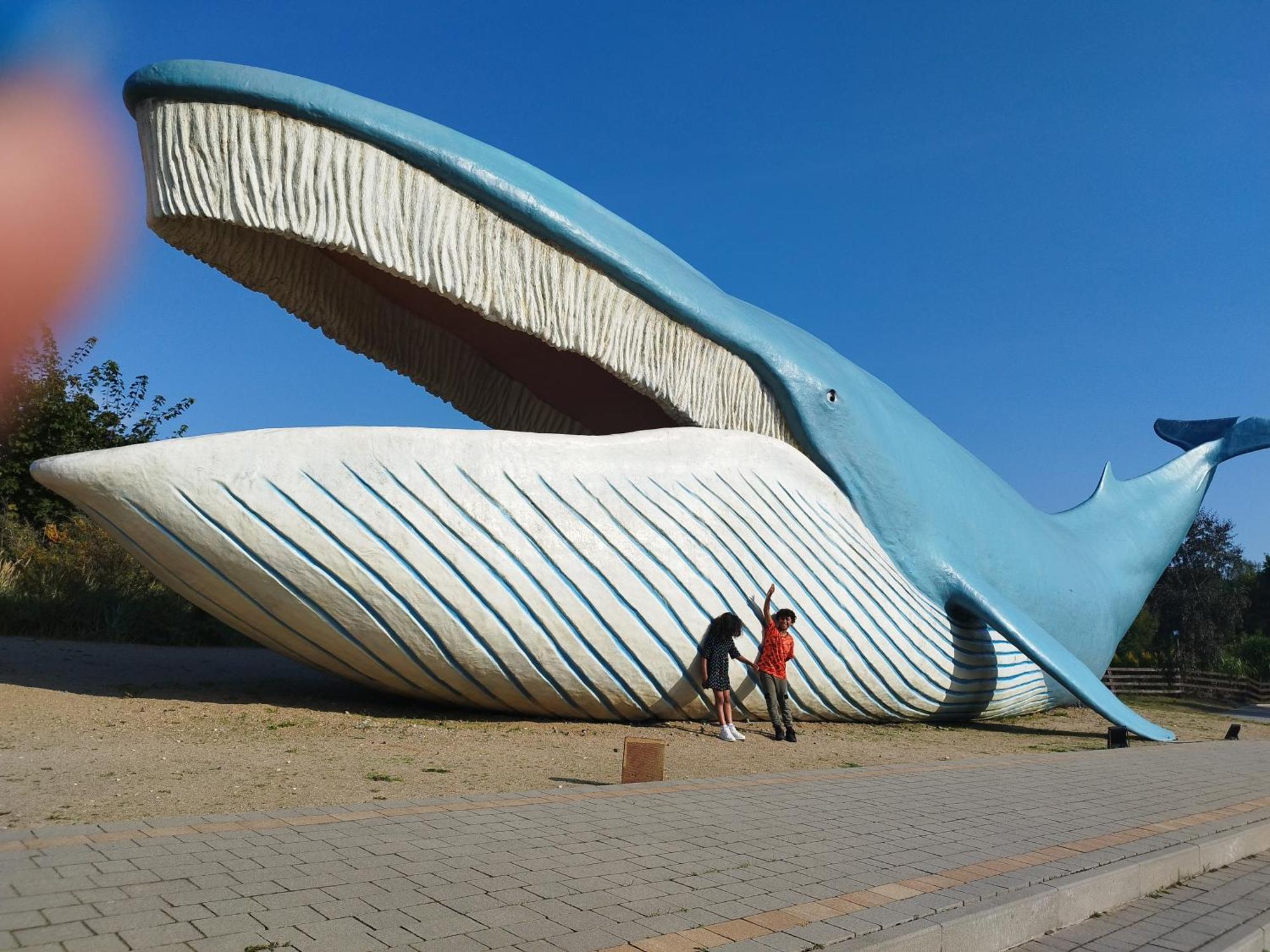 Szyper Pokoje Wladyslawowo Exterior foto